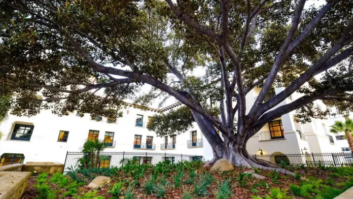 The facilities at Santa Barbara Cottage Hospital - Detox Program in Santa Barbara, CA 3